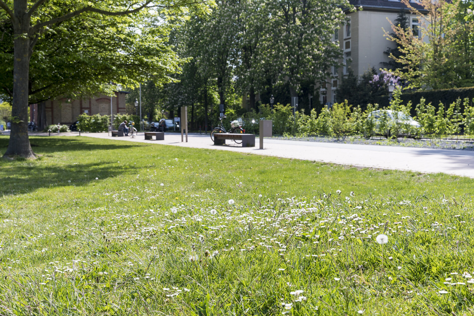 Vorplatz am Nordbahnhof (Wird bei Klick vergrößert)