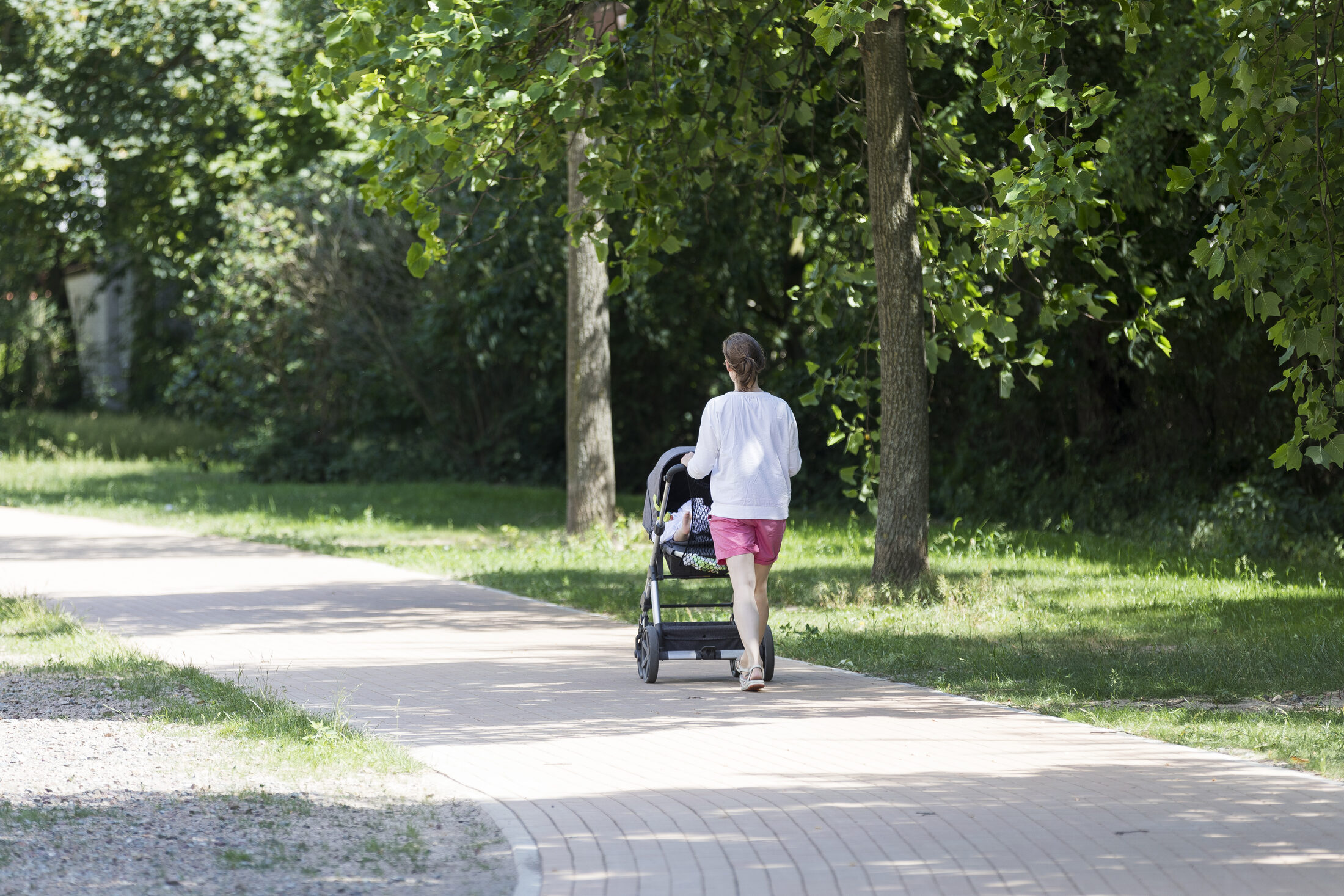 Spaziergang im Nordpark (Wird bei Klick vergrößert)