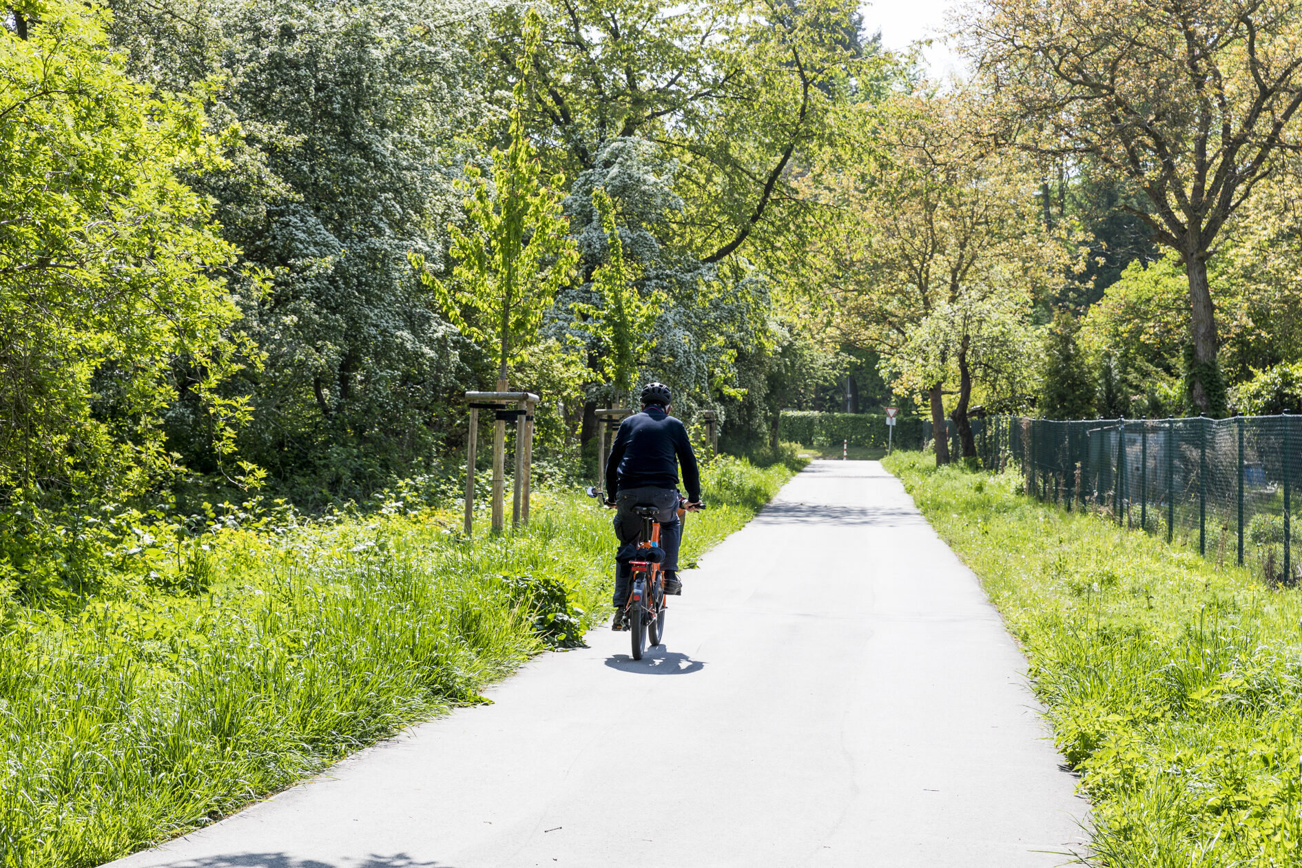 Radfahrer am Östliches Ringgleis (Wird bei Klick vergrößert)