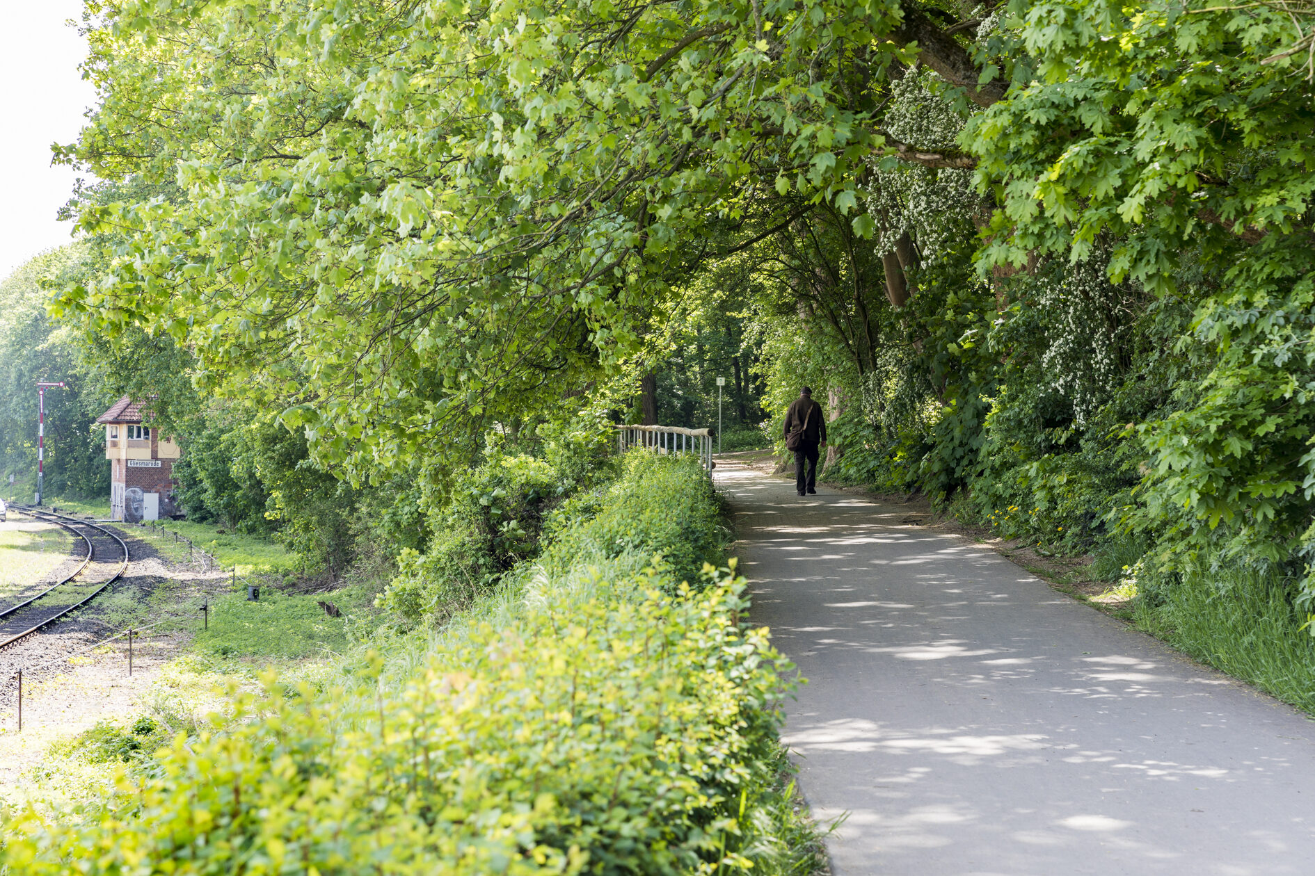 Östlichen Ringgleis am Nußberg (Wird bei Klick vergrößert)