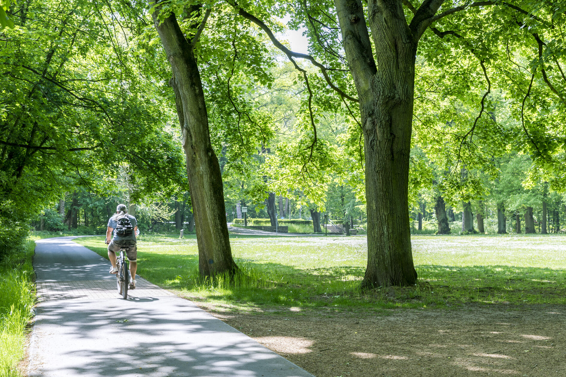 Östliches Ringgleis am Prinz-Albrecht-Park (Wird bei Klick vergrößert)