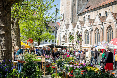 Innenstadt erleben