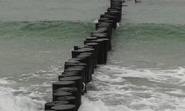 Steine im Wasser (Wird bei Klick vergrößert)