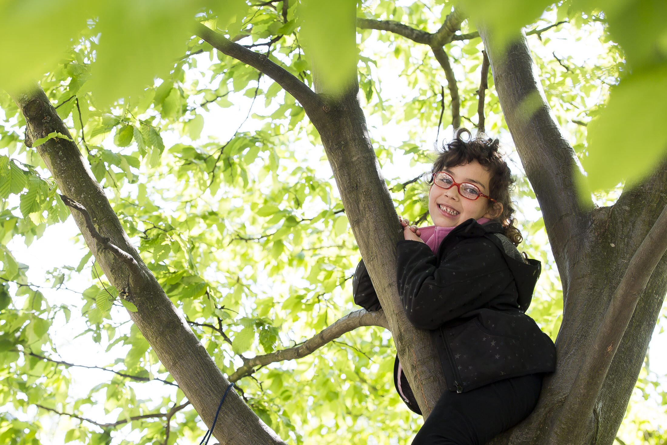 Kletterndes Kind im Baum