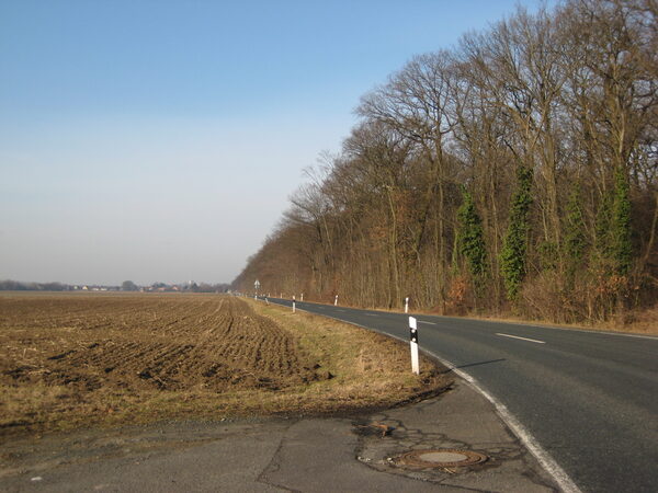 Blick Richtung Geitelde (Wird bei Klick vergrößert)