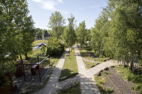 Ringgleis