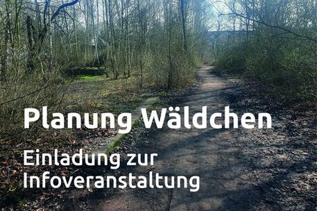 Planung Wäldchen