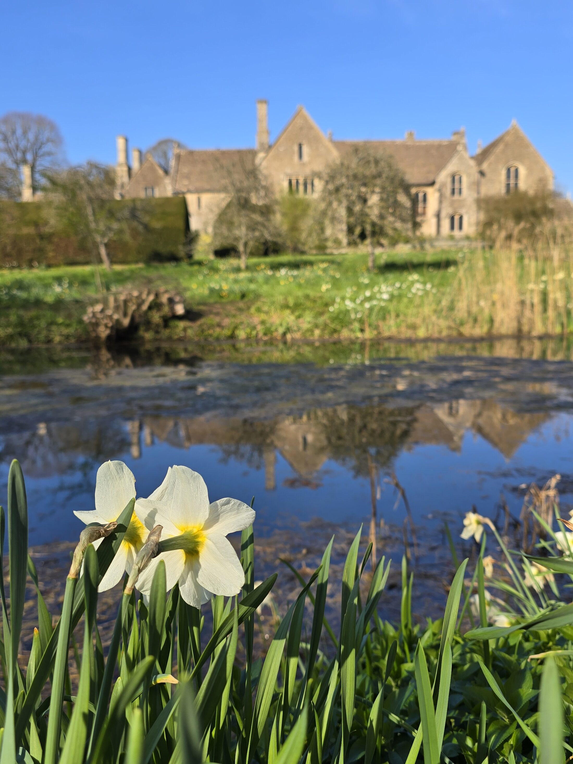 Great Chalfield Manor mit Gartenanlage und Seerosenteich. (Wird bei Klick vergrößert)