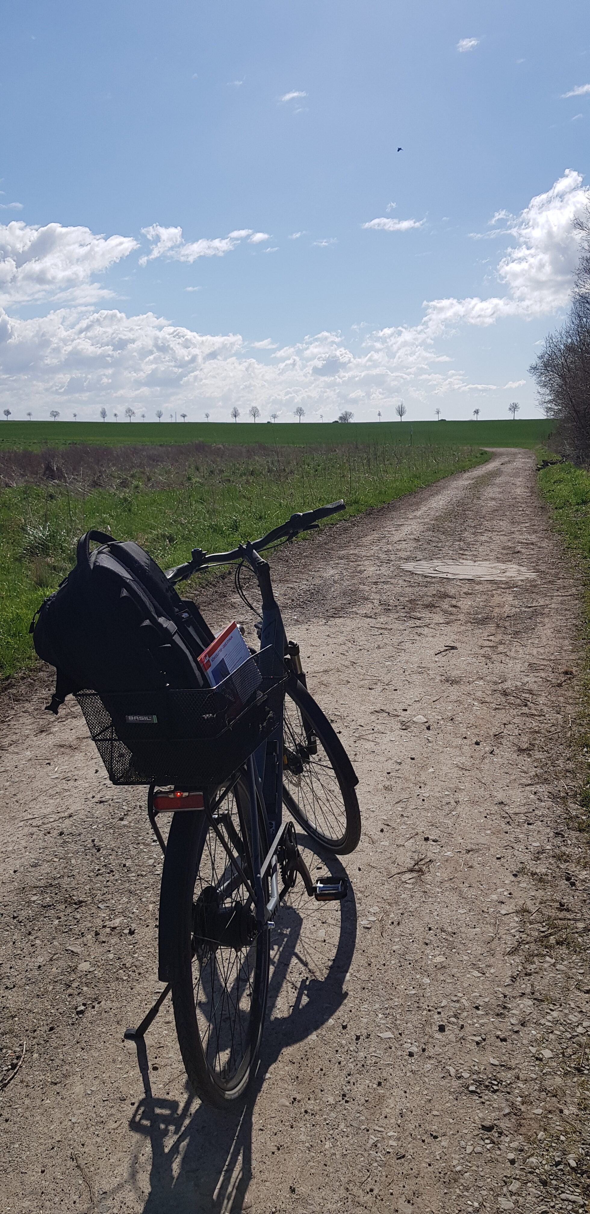 Freier Blick auf die Felder zwischen Rottorf und Schickelsheim (Wird bei Klick vergrößert)