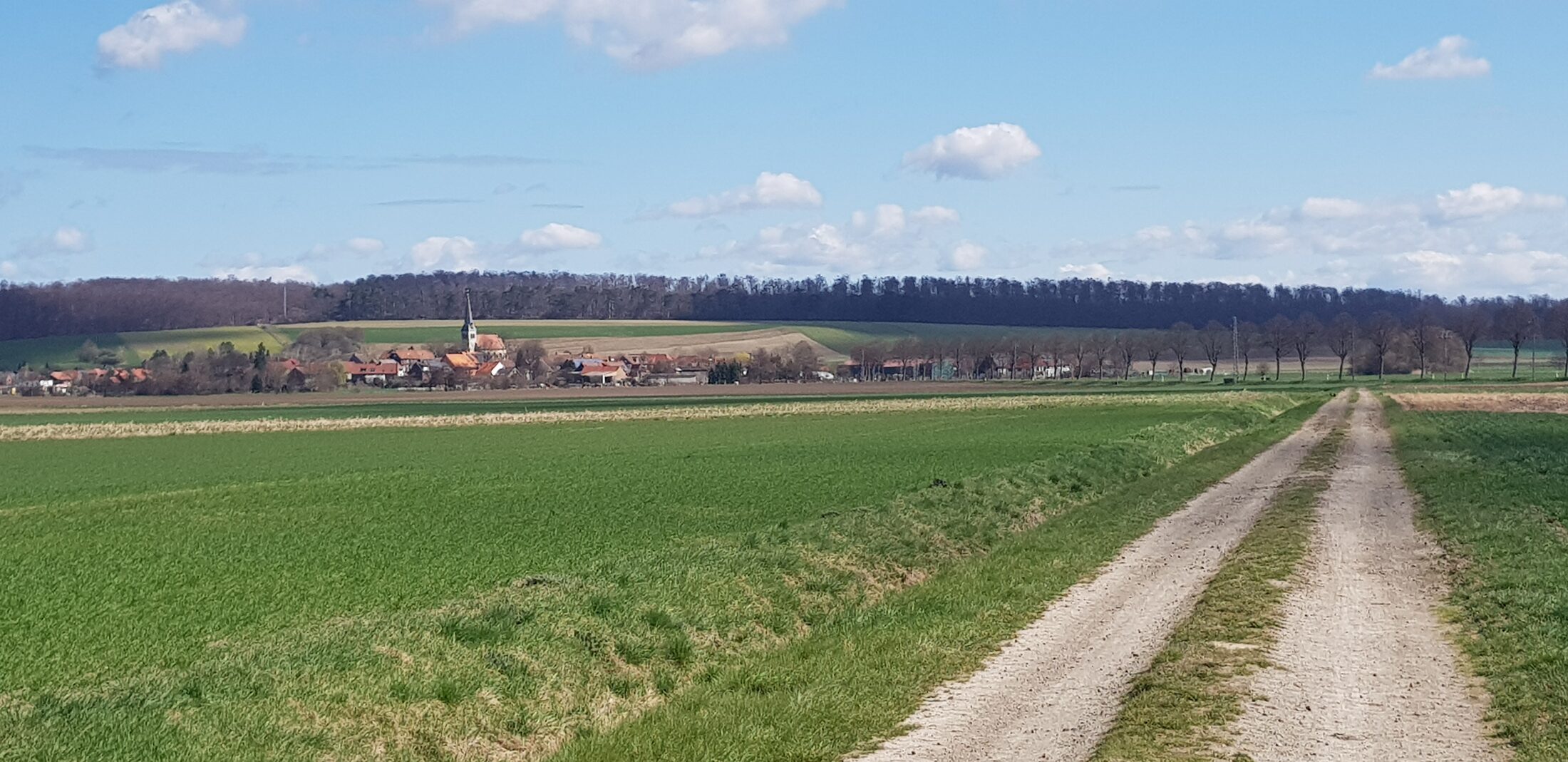 Blick auf Groß Steinum (Wird bei Klick vergrößert)