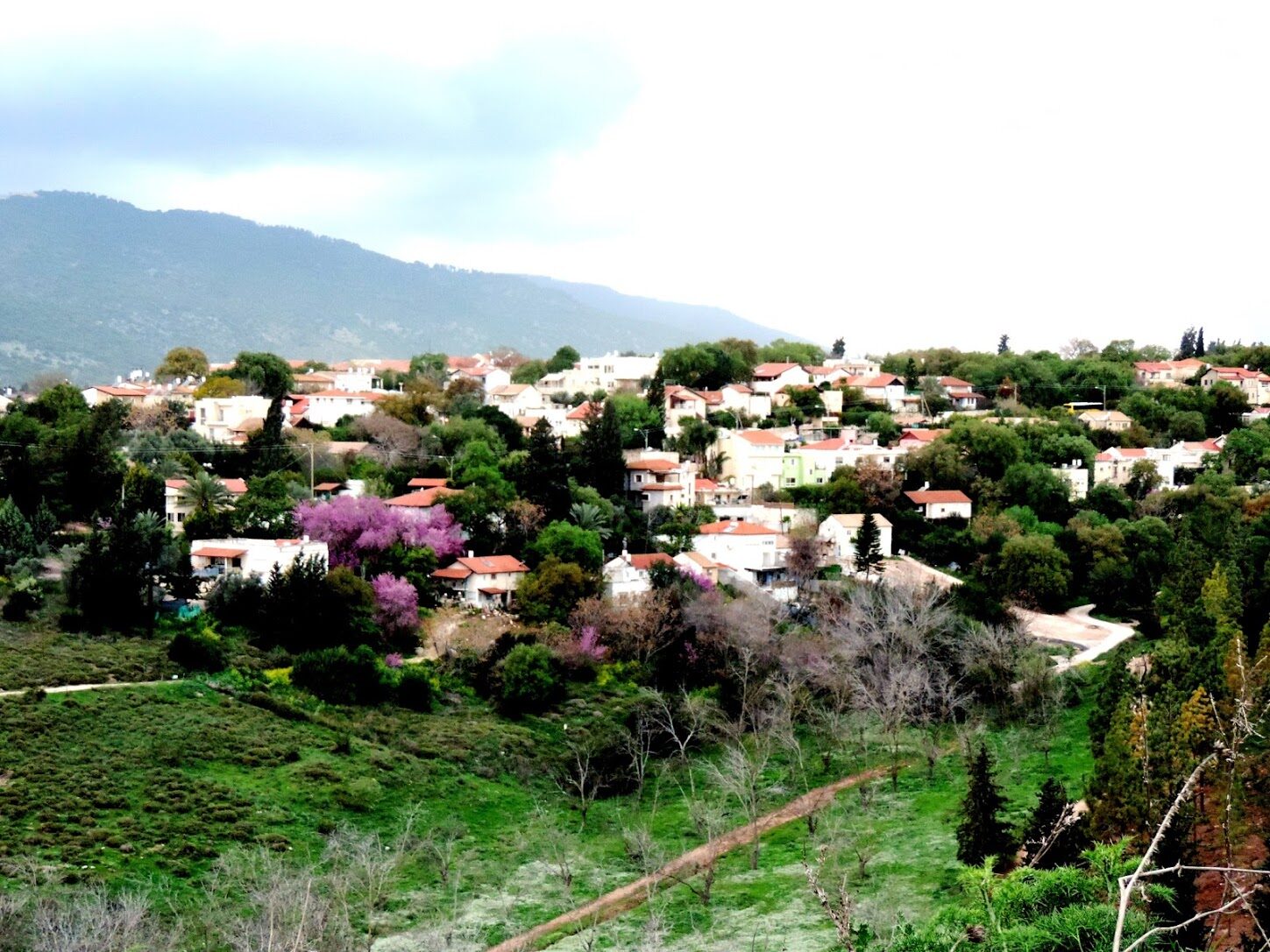 Blick auf Kiryat Tivon (Wird bei Klick vergrößert)