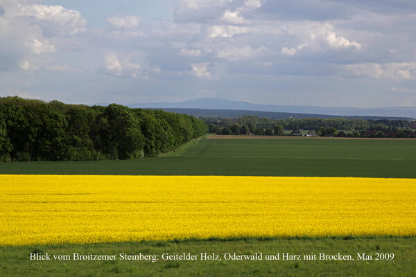 Blick vom Steinberg: Geitelder Holz, Oderwald und Harz mit Brocken (Wird bei Klick vergrößert)