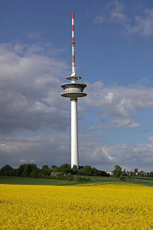 Fermeldeturm mit Rapsfeld 2009 (Wird bei Klick vergrößert)