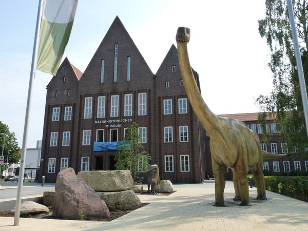 Naturhistorisches Museum (Wird bei Klick vergrößert)