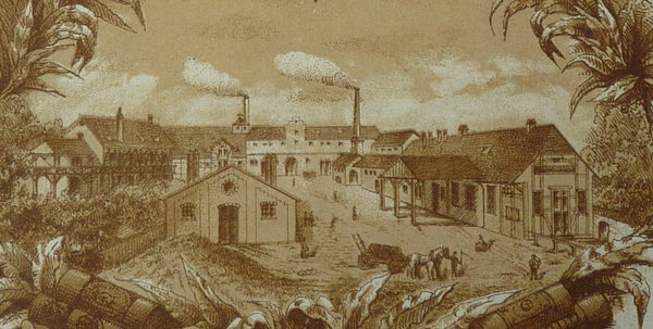 Ludwig Otto Bleibtreu - Zichorien-Fabrik (Wird bei Klick vergrößert)