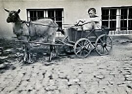 Hans Heinrich Gehrs mit Ziegenbock (Wird bei Klick vergrößert)