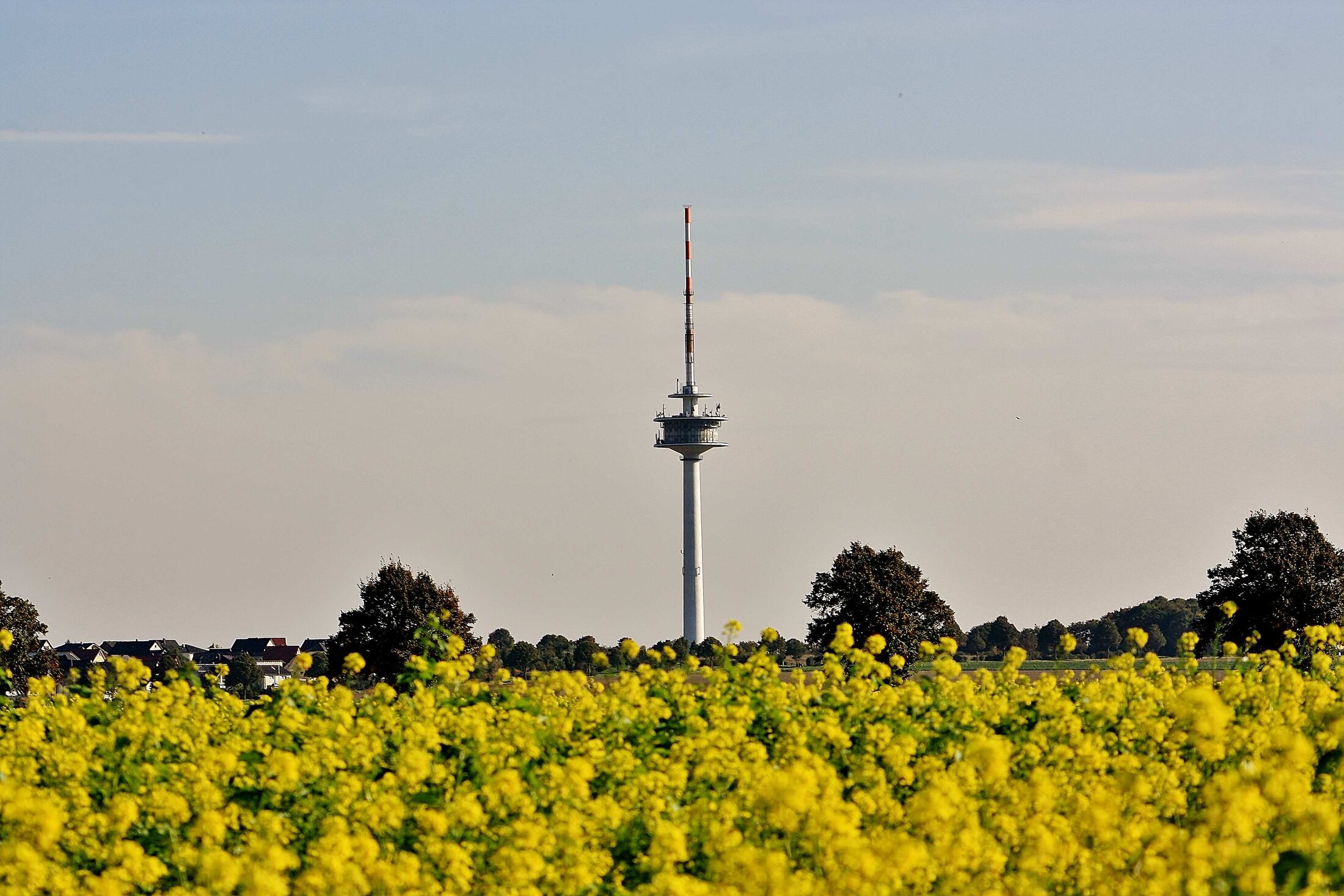 Geitelder Fernsehturm 3.10.15 (Wird bei Klick vergrößert)