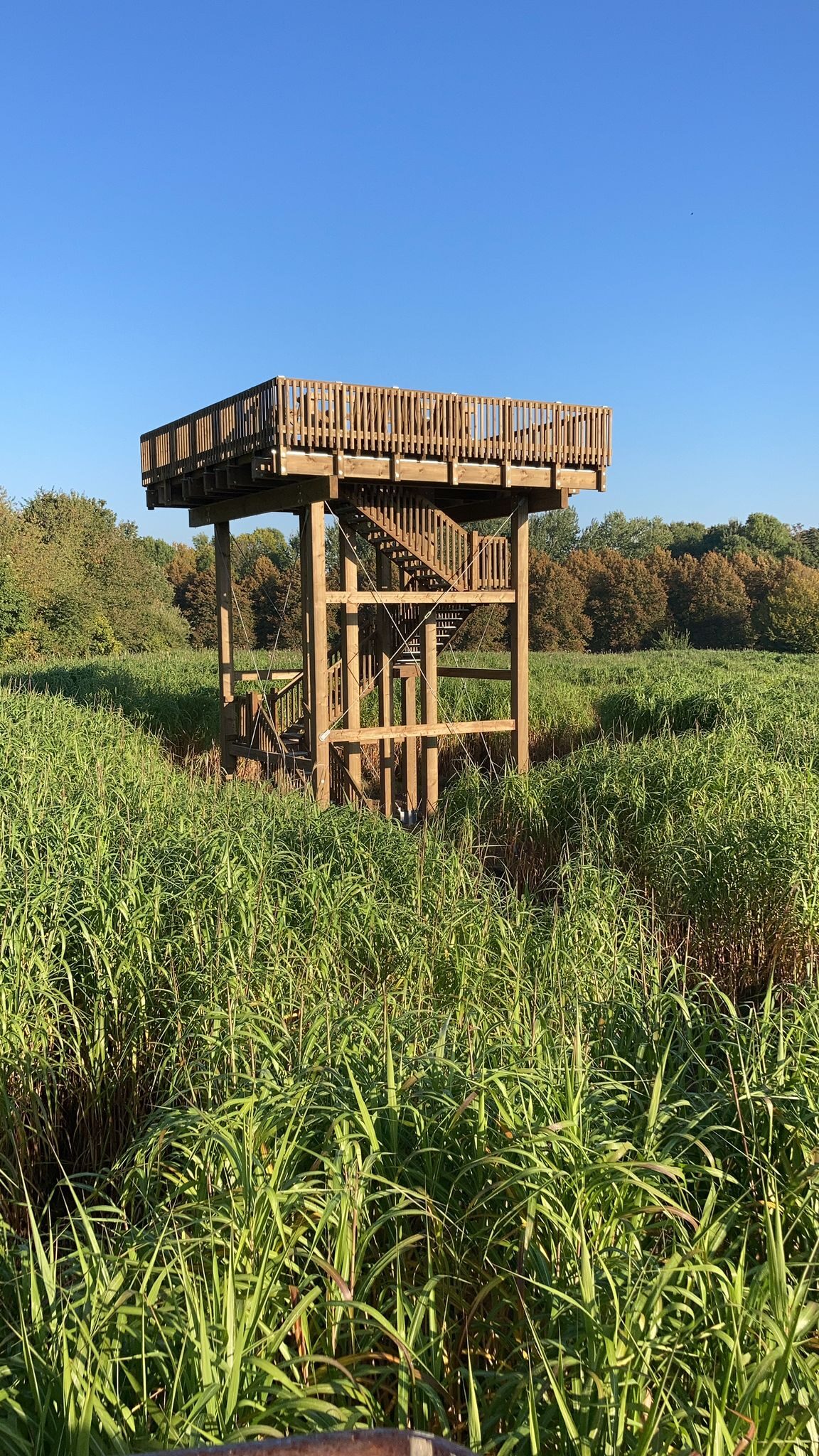 Aussichtsturm im Micanthuslabyrinth (Wird bei Klick vergrößert)