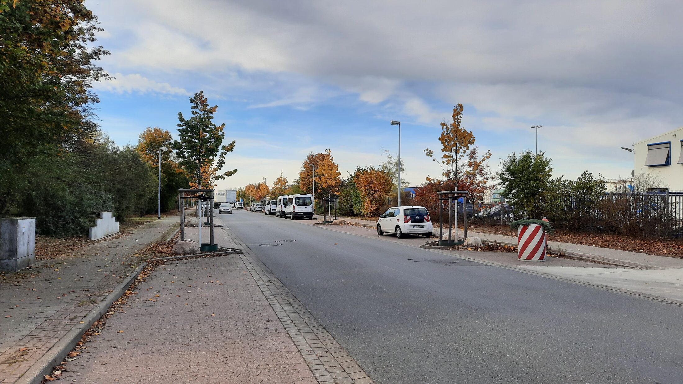 Einzelbaumpflanzungen an einer Straße zwischen den Parkbereichen (Wird bei Klick vergrößert)