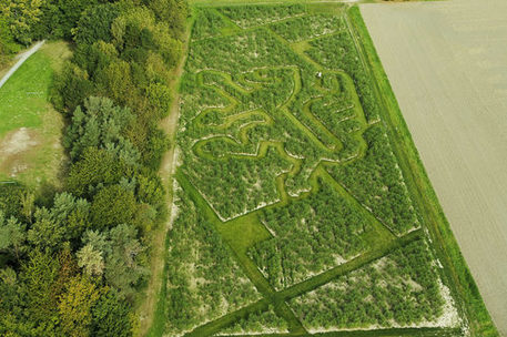 Miscanthuslabyrinth in Form des Löwenlogo aus der Luft