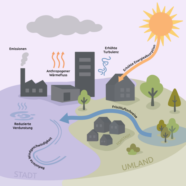In der Stadt sind verschiedene Faktoren verändert: Die Windgeschwindigkeit und die Verdunstung sind geringer als im Umland, die Energieabsorption und die Turbulenz sind erhöht. Aus dem Umland fließt kühlere Luft entlang von Frischluftschneisen in die aufgeheizte Stadt. (Wird bei Klick vergrößert)