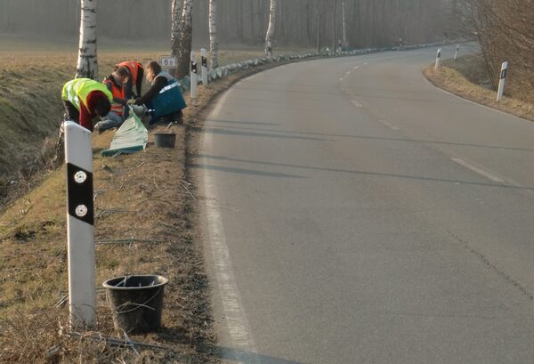 Freiwillige bauen einen Amphibienzaun an einer Straße auf.