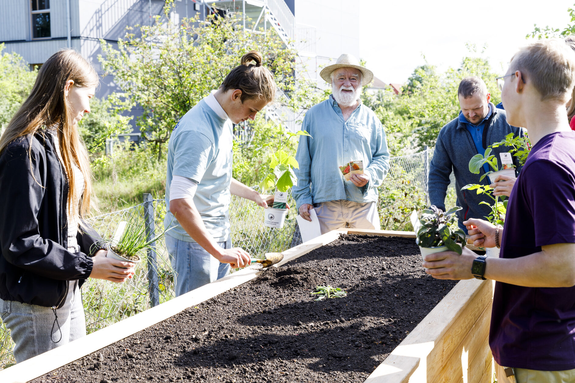 Jugendliche des Lessinggymnasiums befplanzen ihr gewonnenes Hochbeet. (Wird bei Klick vergrößert)