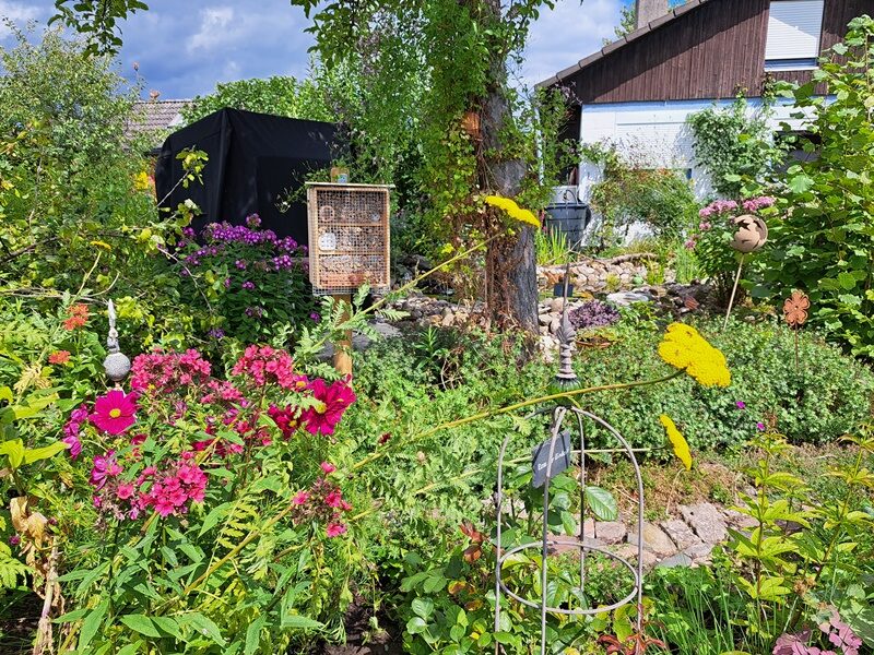 Blühpflanzenvielfalt im Garten. (Wird bei Klick vergrößert)