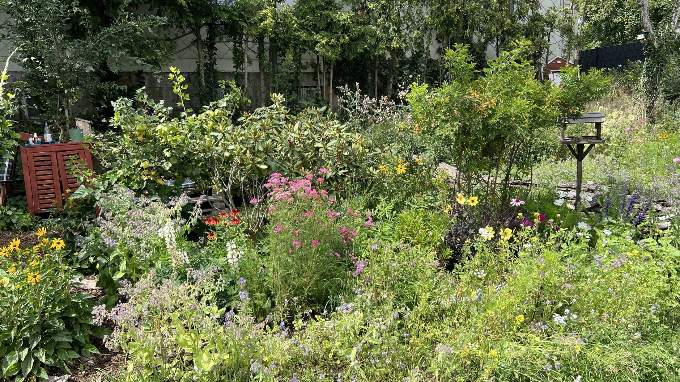 Buntes Staudenbeet. (Wird bei Klick vergrößert)