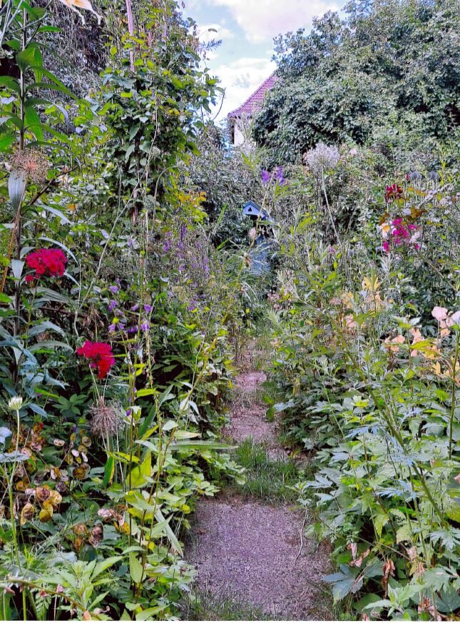 Wilder Garten mit vielen Blühpflanzen. (Wird bei Klick vergrößert)