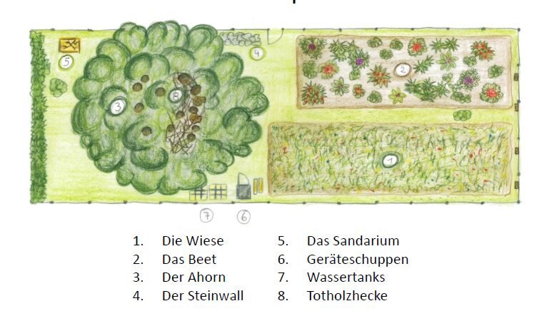 Grundriss des naturnah umgestalteten Wiese. (Wird bei Klick vergrößert)