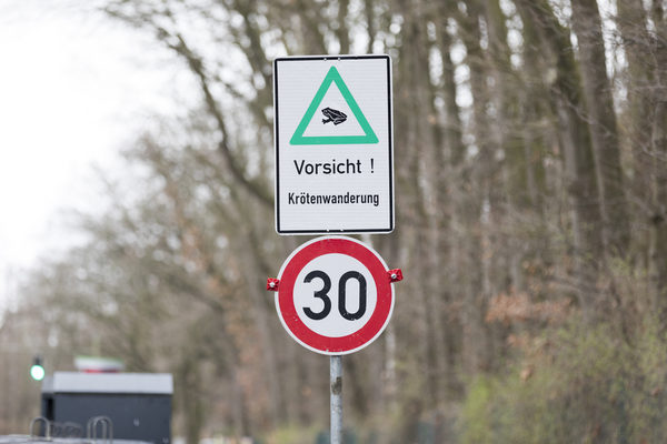 Über einem Verkehrsschild mit Geschwindigkeitsbegrenzung 30 ist ein Schild mit einem Frosch in einem grünen Warndreieck mit der Unterschrift "Vorsicht! Krötenwanderung" zu sehen.