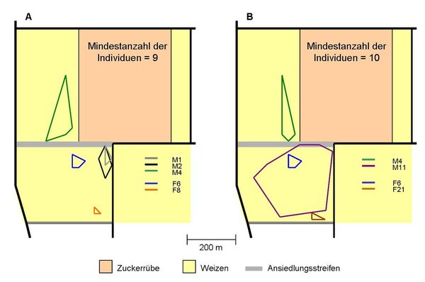 Grafik Aktionsradius der Feldhamster nach der Umsiedlung. (Wird bei Klick vergrößert)