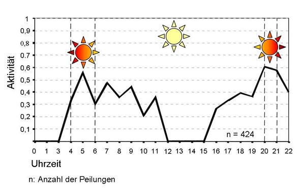 Aktivität der Feldhamster im Tagesgang. (Wird bei Klick vergrößert)