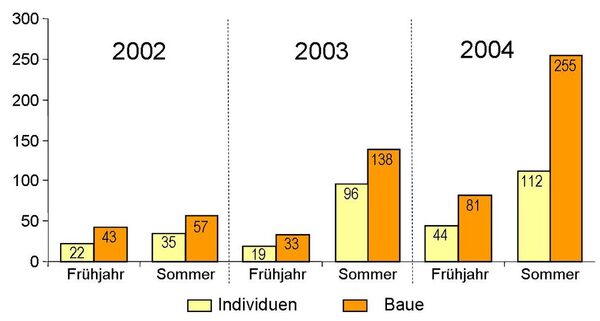 Säulengrafik Bauverteilung und Anzahl 2002-2004 im Baugebiet Lammer Busch. (Wird bei Klick vergrößert)