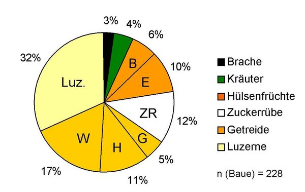 Kreisdiagramm Bauverteilung in verschiedenen Kulturen. (Wird bei Klick vergrößert)