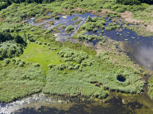 Feuchtgebiet in Riddagshausen aus der Luft aufgenommen.