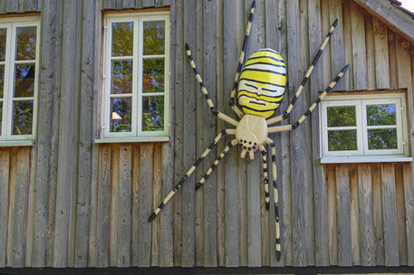 Eine überdimensionale Wespenspinne begrüßt die Besucher am Hauseingang