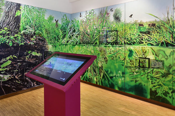 Zwei Ausstellungsräume widmen sich den feuchten bis nassen Lebensräumen im Naturschutzgebiet