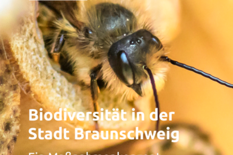 Biodiversitätsstrategie