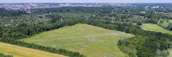 Im Vordergrund befinden sich Wiesen und Felder mit Baumreihen, dahinter die das Stadtgebiet Braunschweig.