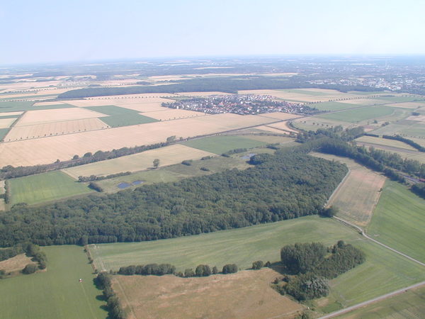 Aus der Luft aufgenommen sieht man ein längliches Waldstück inmitten von sommerlichen Feldern. Im Hintergrund ist eine Ortschaft zu sehen.