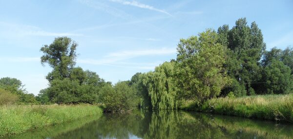 Oker mit Auelandlandschaft im Sommer.