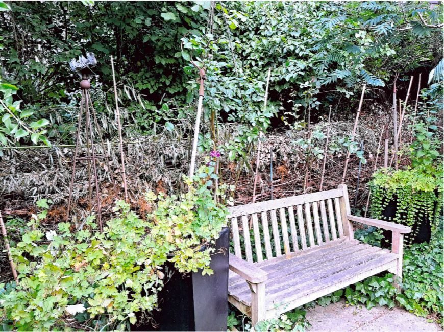 Hinter einen Gartenbank wurde eine Benjeshecke angelegt. (Wird bei Klick vergrößert)