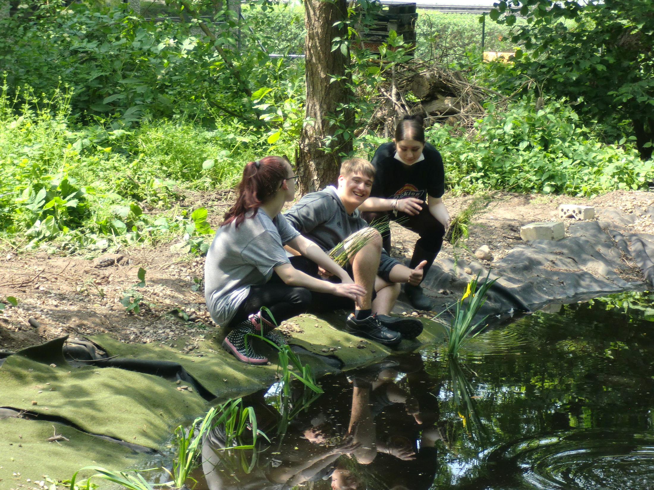 Zwei Schülerinnen und ein Schüler setzen Pflanzen in einen Teich. (Wird bei Klick vergrößert)