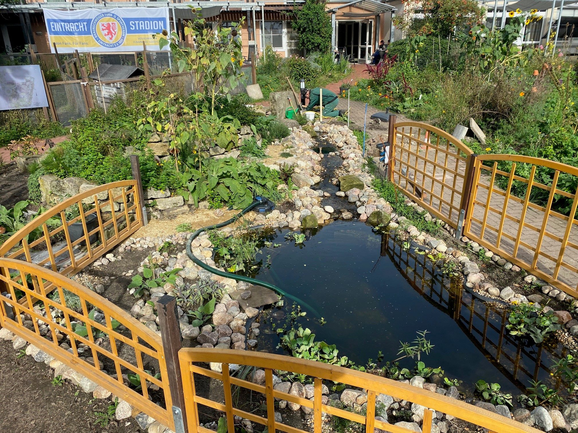Neuangelegter Gartenteich mit naturnah gestaltetem Uferbereich. (Wird bei Klick vergrößert)