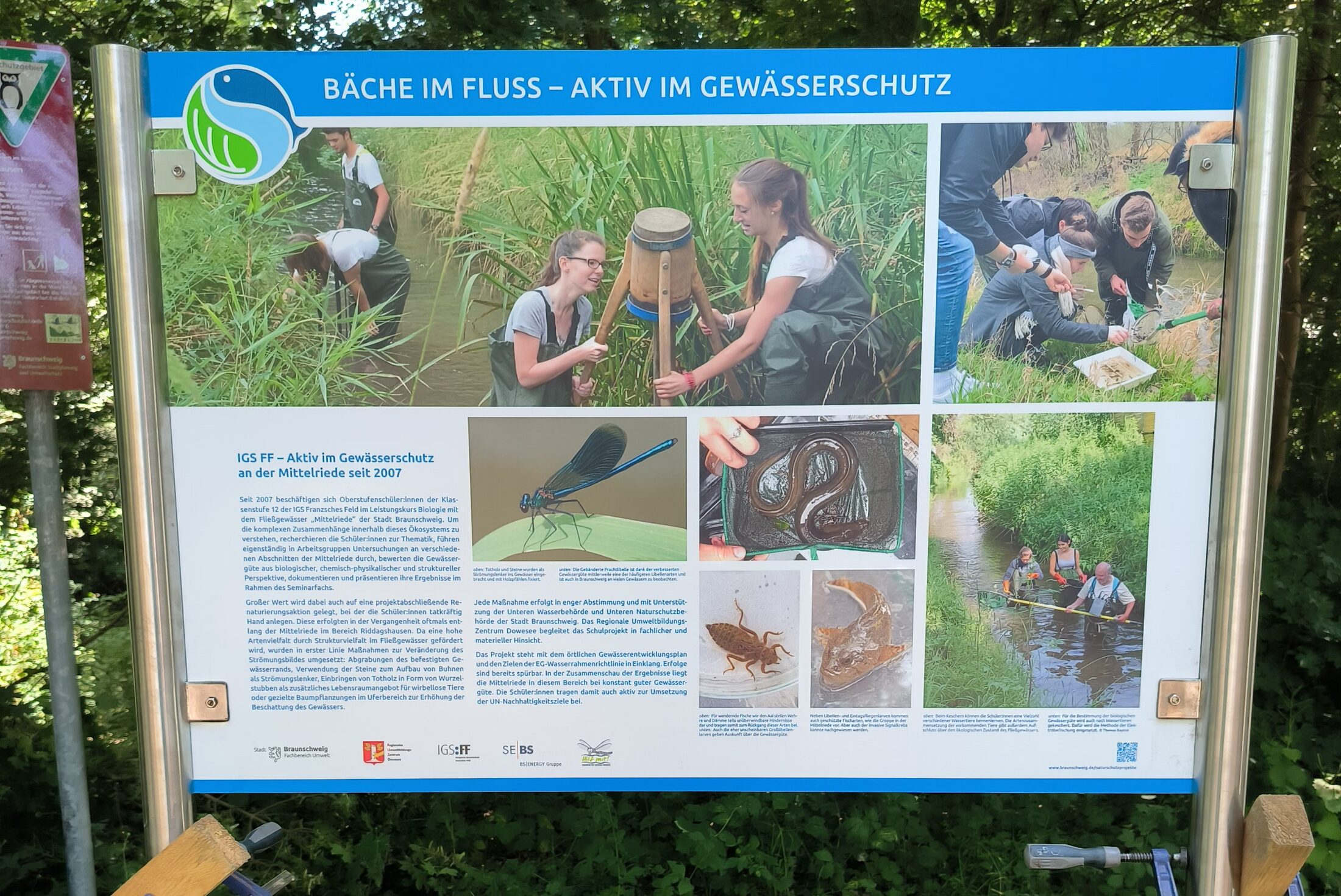 Durch vollen Einsatz der Schülerinnen und Schüler der IGS Franzsches Feld steht die Lehrtafel und informiert über das Fließgewässerprojekt der Schule. (Wird bei Klick vergrößert)