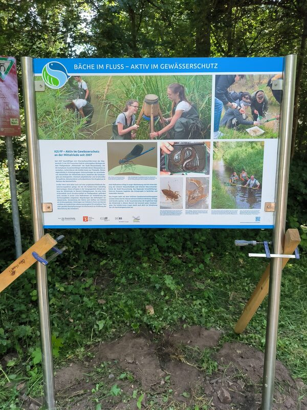 Lehrtafel Mittelriede - Aktiv im Gewässerschuzt