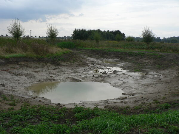 Frisch ausgehobene Erdmulde im Auenbereich mit wenig Wasser gefüllt.