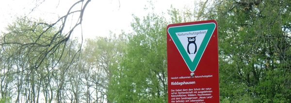 Vor einem Wald steht das Schutzgebietsschild für das Naturschutzgebiet Riddagshausen.